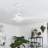 Malloa Ventilador de techo LED Blanca, 1 luz, Mando a distancia