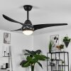 Malloa Ventilador de techo LED Negro, 1 luz, Mando a distancia