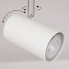 Javel Lámpara de Techo Cromo, Color madera, Blanca, 6 luces