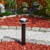Vinara Poste de Jardín LED Negro, 1 luz
