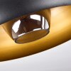 Gaudi Lámpara de Techo dorado, Negro, 1 luz