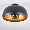 Gaudi Lámpara de Techo dorado, Negro, 1 luz