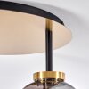 Verbania Lámpara de Techo Ahumado, 3 luces