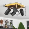 Zuoz Lámpara de Techo Latón, Negro, 4 luces