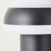 Brilliant Ilton Lámpara de pie para exterior LED Negro, 1 luz