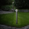Brilliant Ilton Lámpara de pie para exterior LED Negro, 1 luz