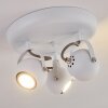 Gadmen Lámpara de Techo Blanca, 3 luces