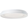 Brilliant Barty Lámpara de Techo LED Cromo, Blanca, 1 luz, Mando a distancia