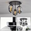 Verbania Lámpara de Techo Ahumado, 3 luces