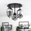Verbania Lámpara de Techo Ahumado, 3 luces