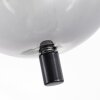 Verbania Lámpara de Techo Ahumado, 3 luces