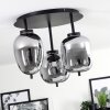 Verbania Lámpara de Techo Ahumado, 3 luces