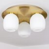 Pintacura Lámpara de Techo Latón, 3 luces