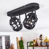 Teheran Lámpara de Techo Negro, 2 luces
