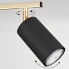 Zuoz Lámpara de Techo dorado, Negro, 5 luces