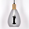 Lincura Lámpara Colgante Latón, Negro, 1 luz