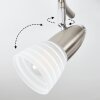 Chapod Lámpara de Techo LED Níquel-mate, 3 luces