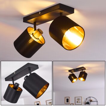 Lámpara de Techo Alsen Negro-dorado, 2 luces