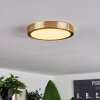 Finsrud Lámpara de Techo LED dorado, 1 luz