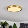 Finsrud Lámpara de Techo LED dorado, 1 luz