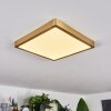 Finsrud Lámpara de Techo LED dorado, 1 luz