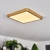 Finsrud Lámpara de Techo LED dorado, 1 luz