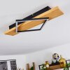 Pompu Lámpara de Techo LED Madera clara, Negro, 1 luz