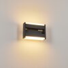 Ramalheira Aplique para exterior LED Antracita, 1 luz