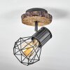 Bardhaman Lámpara de Techo Madera clara, Color madera, Negro, 1 luz
