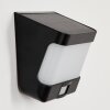 Colchagua Luminaria de pared solar LED Negro, Blanca, 1 luz, Sensor de movimiento