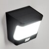 Colchagua Luminaria de pared solar LED Negro, Blanca, 1 luz, Sensor de movimiento