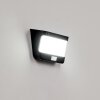 Colchagua Luminaria de pared solar LED Negro, Blanca, 1 luz, Sensor de movimiento