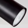 Sequeira Lámpara de Techo LED Madera clara, Color madera, Negro, 2 luces