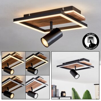 Sequeira Lámpara de Techo LED Madera clara, Color madera, Negro, 2 luces