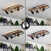 Sequeira Lámpara de Techo LED Madera clara, Color madera, Negro, 4 luces