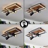 Sequeira Lámpara de Techo LED Negro, Blanca, 3 luces