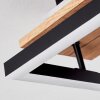 Sequeira Lámpara de Techo LED Madera clara, Color madera, Negro, 3 luces