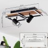Sequeira Lámpara de Techo LED Negro, Blanca, 3 luces