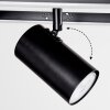 Sequeira Lámpara de Techo LED Madera clara, Color madera, Negro, 3 luces