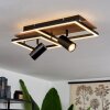 Sequeira Lámpara de Techo LED Negro, Blanca, 3 luces