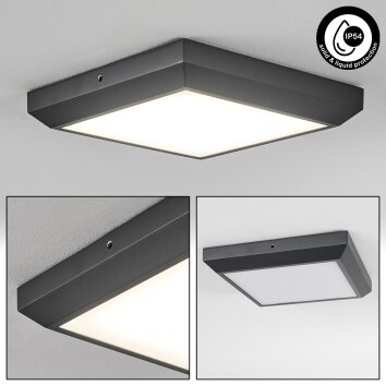 Alkmaar Lámpara de techo para exterior LED Antracita, 1 luz