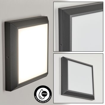 Alkmaar Lámpara de techo para exterior LED Antracita, 1 luz