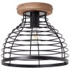 Brilliant Avia Lámpara de Techo Negro, 1 luz