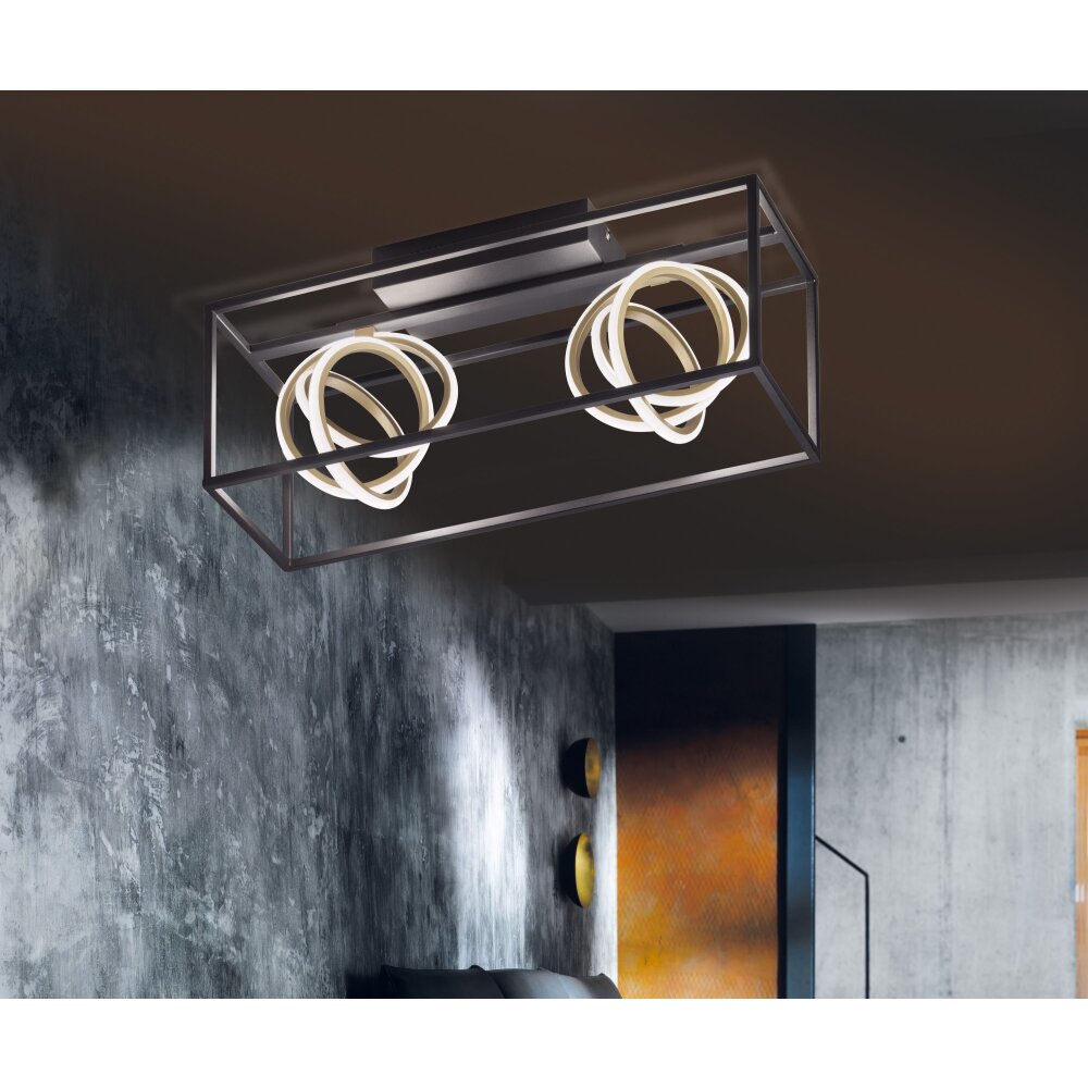 Fischer & Honsel Gisi Lámpara de Techo LED Negro, 2 luces, Mando a distancia main product photo