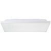 Brilliant Malgas Lámpara de Techo LED Blanca, 1 luz, Mando a distancia