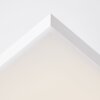Brilliant Malgas Lámpara de Techo LED Blanca, 1 luz, Mando a distancia