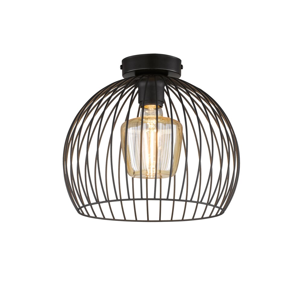 Fischer & Honsel Wire Lámpara de Techo Negro, 1 luz main product photo