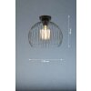 Fischer & Honsel Wire Lámpara de Techo Negro, 1 luz