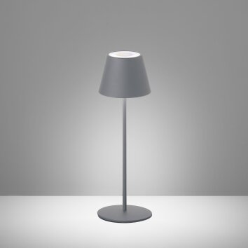 FHL easy Cosenza Lámpara de mesa LED Gris, 1 luz, Cambia de color