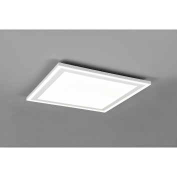 Reality Carus Lámpara de Techo LED Blanca, 2 luces